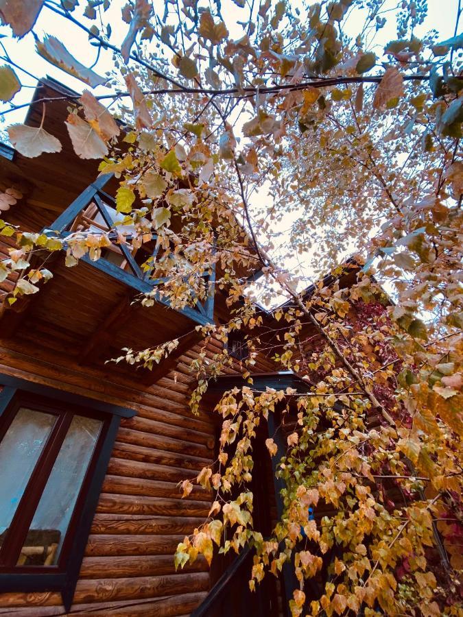 Chimgan Boutigue Hotel Nebesa מראה חיצוני תמונה
